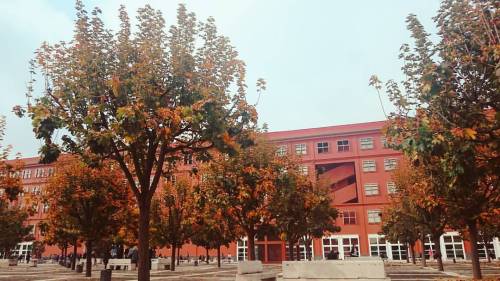 {I hate you - I love you} #unimib #bicocca #autumn #autumnwatch #igersmilano #igerslombardia #igersi