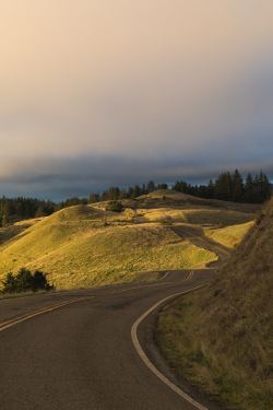 expressions-of-nature:Mount Tamalpais, California by Matthew Ronder-Seid