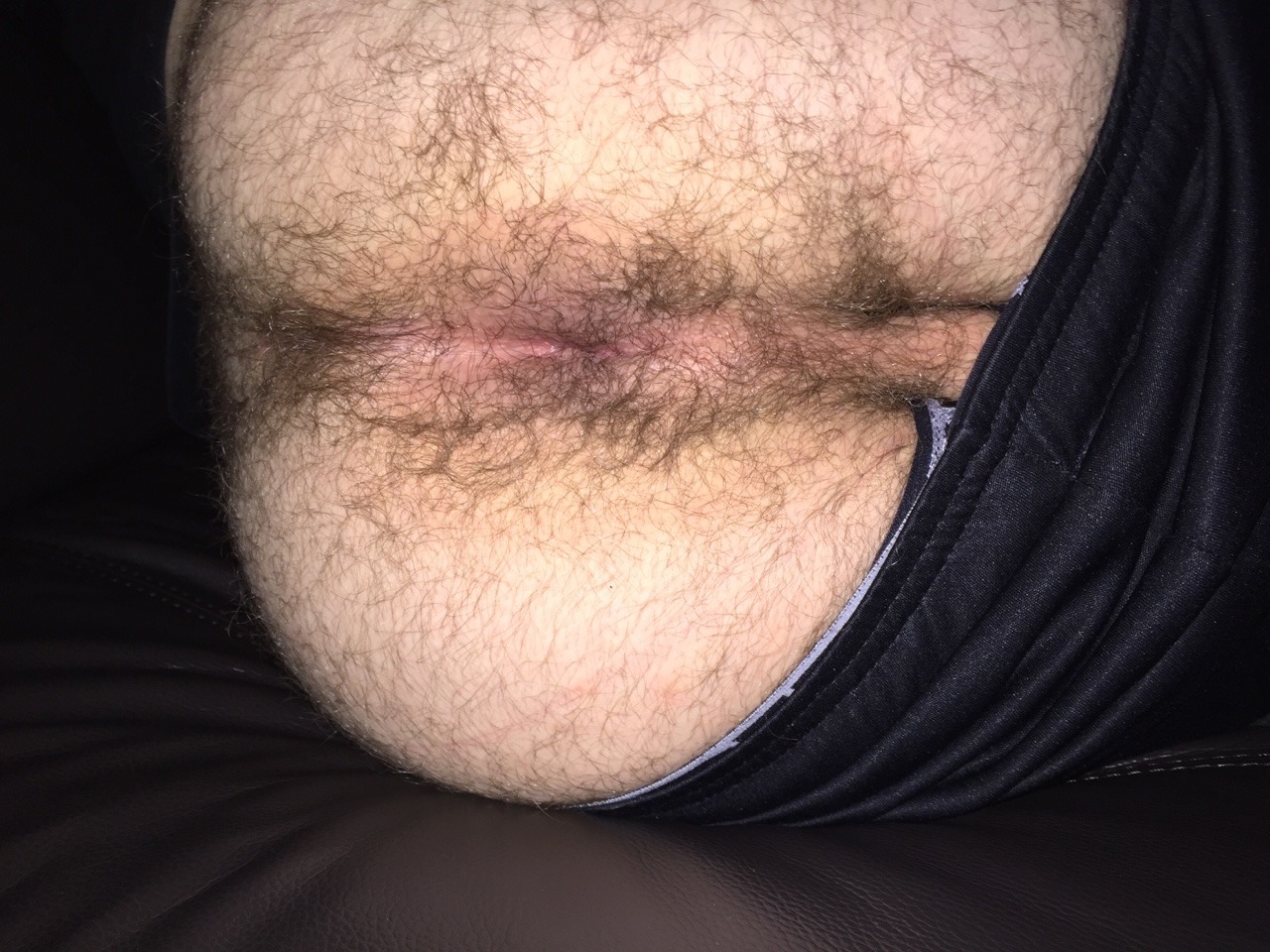 nwfur:  I’ve also been letting myself stay completely furry. Who wants to bury