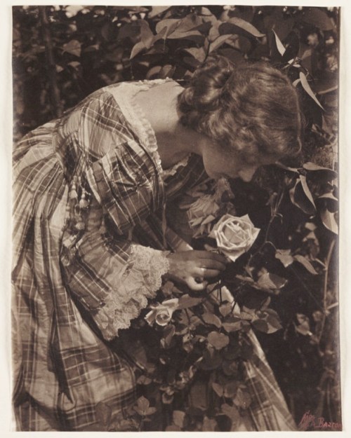  The Soul of the Rose c. 1905 by Emma Barton. Source: Tumblr - turnofthecentury. #victorianchaps #po