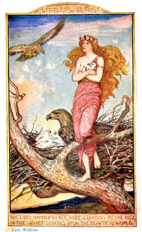 She lived happily in her nest … Andrew Lang, editor, Little Wildrose and Other Stories (from 