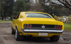 carpr0n:    Starring: Ford Mustang Fastback by Mathias Aravena     So cute