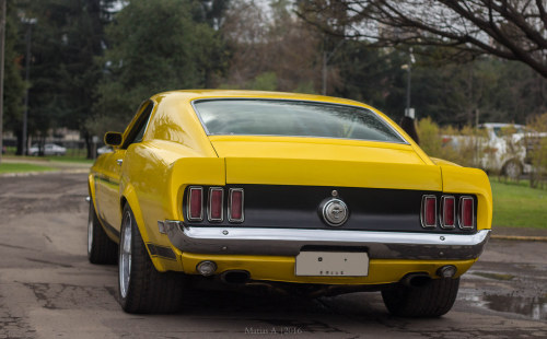 Porn carpr0n:    Starring: Ford Mustang Fastback by photos