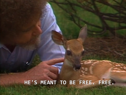 Sex blueboyluca: Bob Ross gets it. pictures