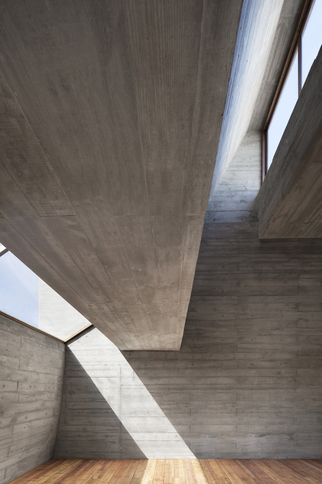   Seashore Library Vector Architects  