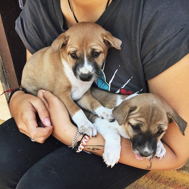 Awwww they&rsquo;re so cute