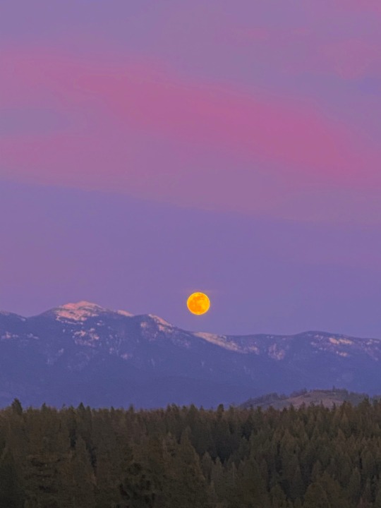 Sex softwaring:Super pink moonrise tonight over pictures