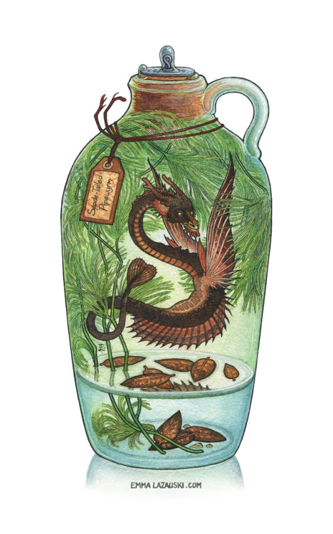 thewordywarlock:ex0skeletal:Bottled Seriesby emmalazauskithese are all absolutely terrible container