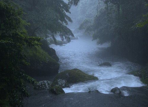 豪雨の渓流 by gudonjin on Flickr.