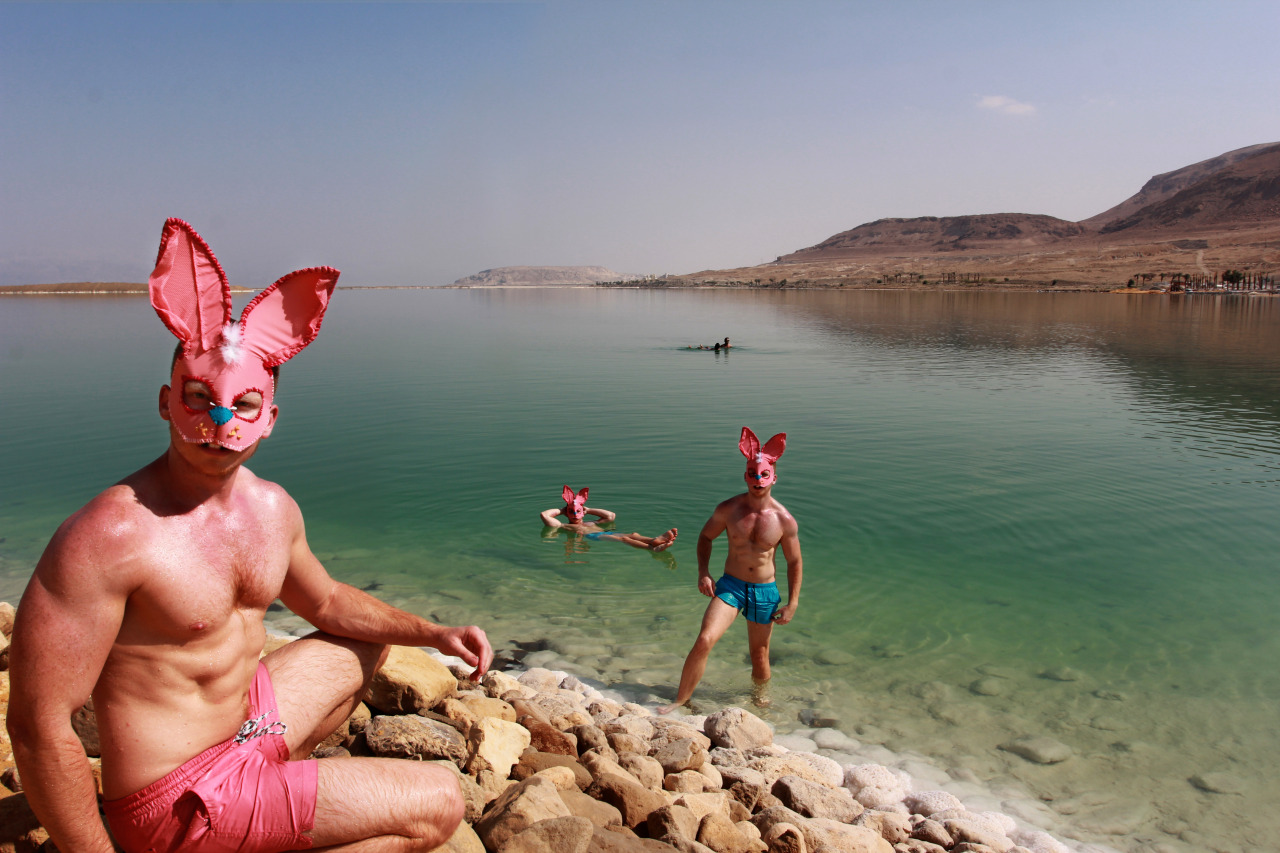 DEAD SEA BUNNIES - the DEAD SEA 2015