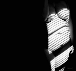 tlcrmtphotography:Emergent. Black and White. •tlcrmt 