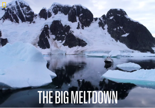 As the Antarctic Peninsula heats up, the rules of life there are being ripped apart. Alarmed scienti