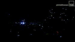 totaldivasepisodes:  Shinsuke Nakamura and amazing strobe light YeaOh!mobile.