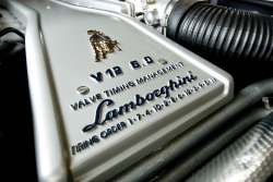 scarligamerluss:  mybestcars:  Lamborghini  V12 6.0  Valve Timing 1-7-4-10-2-8-6-12-3-9-5-11  La sinfonia