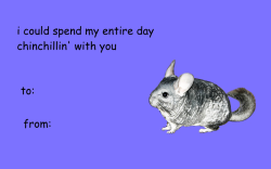 itzy-bitzy-ritzy:  i made a card for you all
