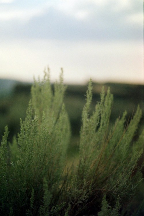 Worship Blog