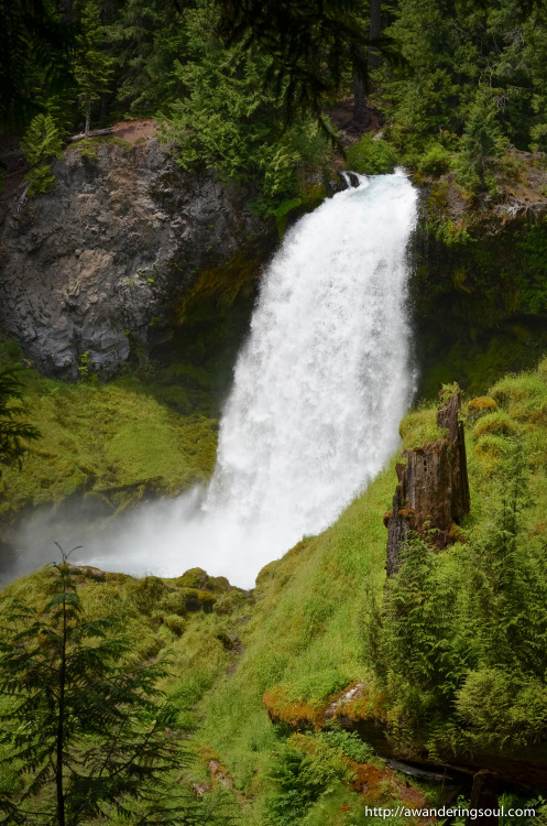 connie-awanderingsoul:Sahalie Falls, Oregon