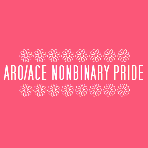 nonbinarypastels:[Image Description: A rose red color block with white text that reads “aro ace nonb