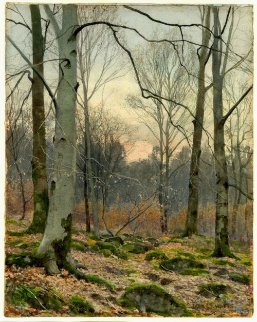 brigantias-isles:November Evening in a Welsh Wood by James T. Watts. c.1890