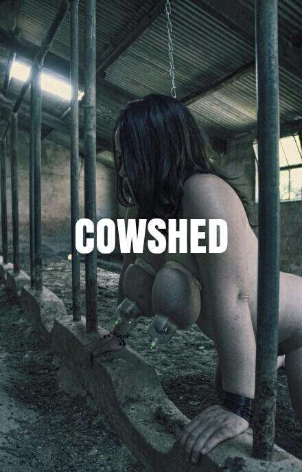 hucowtraining:  Welcome to the cowshed, hucow; your new home. Find yourself a comfortable