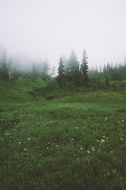 dianostalgico:  vintage photographs
