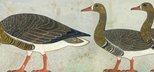 The Meidum GeeseThis part of a wall painting was found in the Mastaba of Nefermaat and his wife, Ite