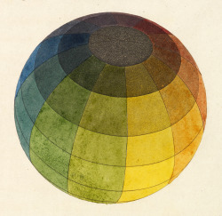 Color Ball, detail from a book by Philipp Otto Runge (1777-1810).