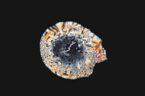 wired:  wired: When it comes to pills, most of people throw âem back without a thought, unaware of whatâs inside and what it might be made of. This stunning photo series offers a glimpse at what a variety of pills â from MDMA to Aspirin