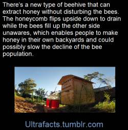 ultrafacts:  Source Follow Ultrafacts for