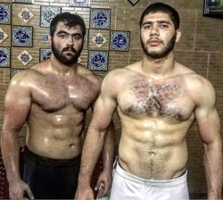 machopersia:wet persian bros