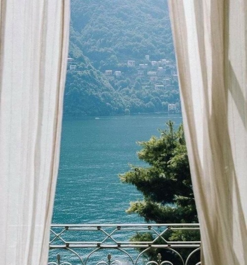 T.N. || Summer Wine