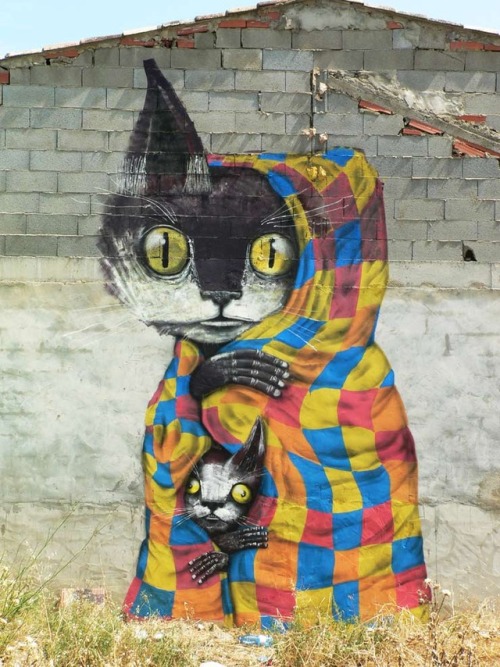 archiemcphee: Street Art + Cats = Caturday art fest!Street Art 360 assembled an awesome collection o