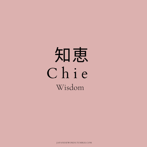 知恵｜ちえ｜Wisdom