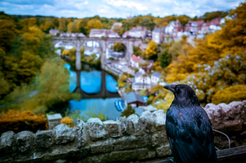 mbphotograph: A crow atop of Knaresborough, England (by mbphotograph)Follow me on Instagram