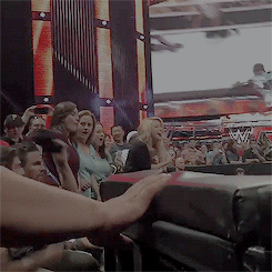 amellywoodsource:My aesthetic is Stephen aggresively jumping into the ring at wwe raw