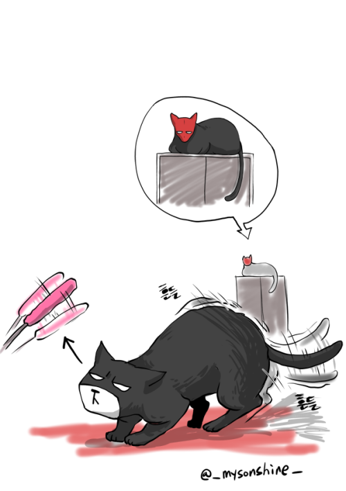 mysonshineblr: Bat-Cat Family