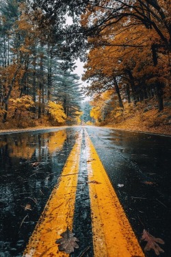 pixelduststuff:  idotravel:  autumn  Street 