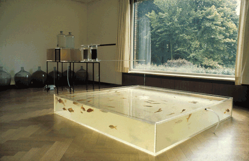 haverst:  Hans Haacke, Rhine Water Purification Plant, 1972.sourceHaverst on Instagram