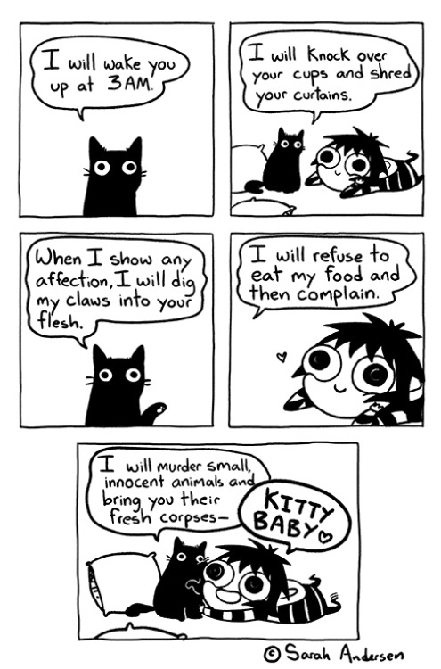 sarahseeandersen:I’m cat sitting again.