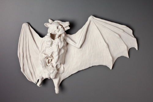pankurios-templeovarts:   Fine objects/sculptures by Kate MacDowell. 