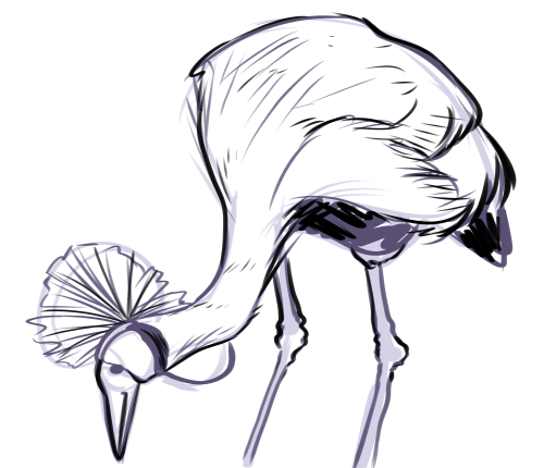 $Discount$ Reference Sketches