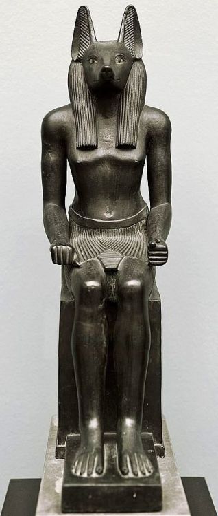egypt-museum:Statue of AnubisSeated statue of the jackal-headed god Anubis, associated with mummific