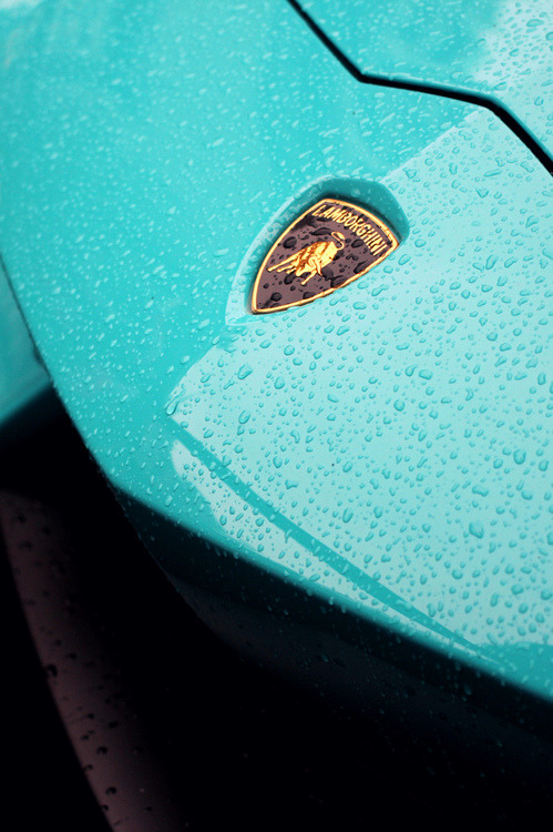 califoreign:  CaliForeign | Luxuries
