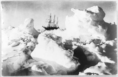 onceuponatown: The Endurance, fatally stuck in drifting ice for 3 months until she finally sank into