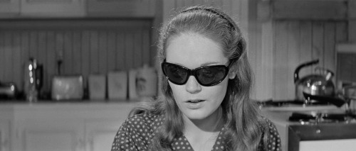 Elizabeth Hartman as Selina D'Arcey /A Patch of Blue (1965)Academy Award Nominated as Best Actress