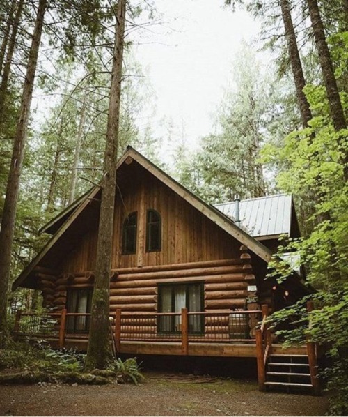 Brainstorming cabin ideas for the farm I’ll be buying later in the year&hellip;