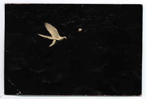 nobrashfestivity:  Masao Yamamoto