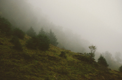 teaganwh:Scottish Highlands, 2017.