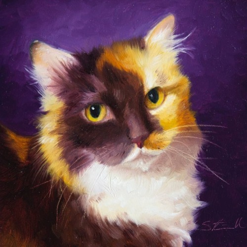 Cali, Queen of Our Hearts - 6x6 #petportrait #catpainting #catart #catsofinstagram #cats_of_instagra