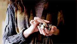 mickmilkovich:countdown to season five; [4/7] characters: fiona gallagher